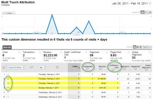 Visitor Level Reporting